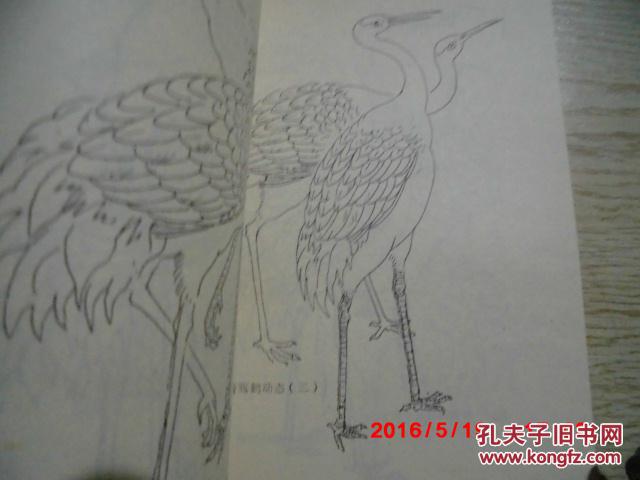 仙鹤画法