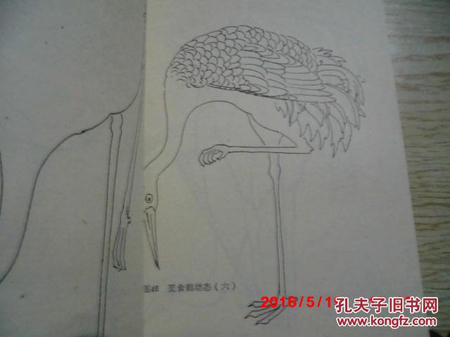 仙鹤画法