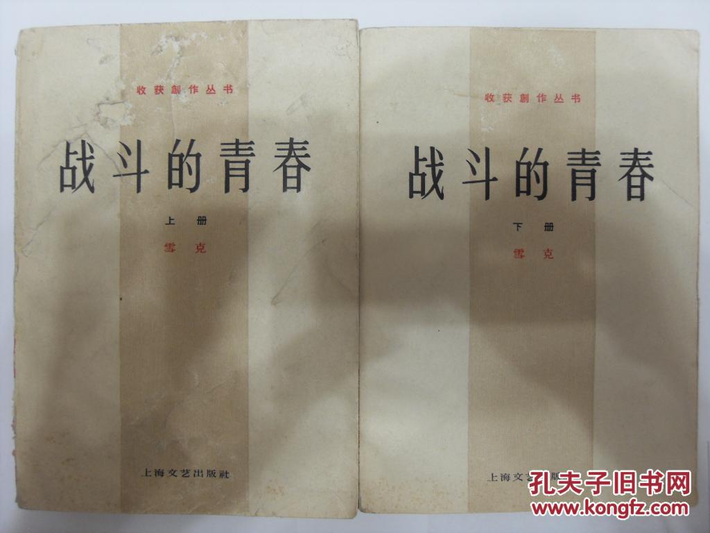 上海文艺出版社1963年9月初版 红色经典长篇小说 雪克著《战斗的青春