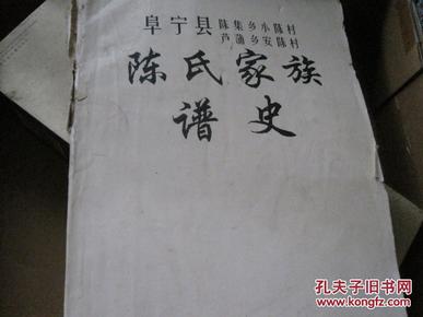 陈氏家族谱史