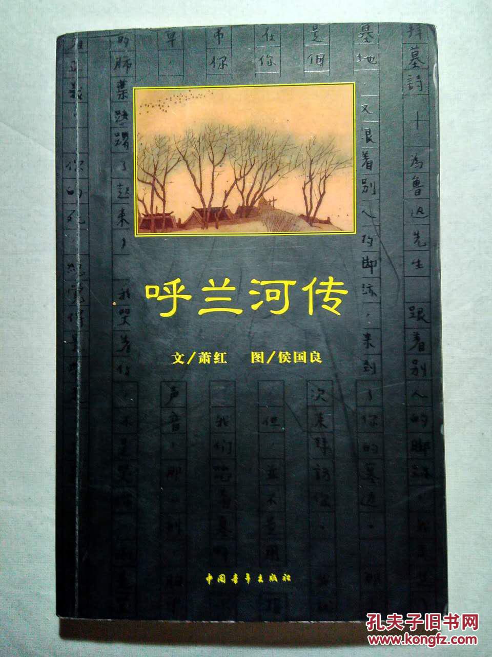呼兰河传