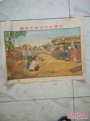 农业生产合作社丰收