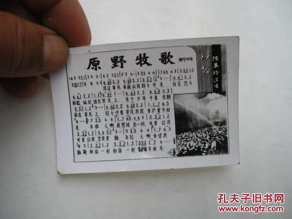 老照片 原野牧歌歌片