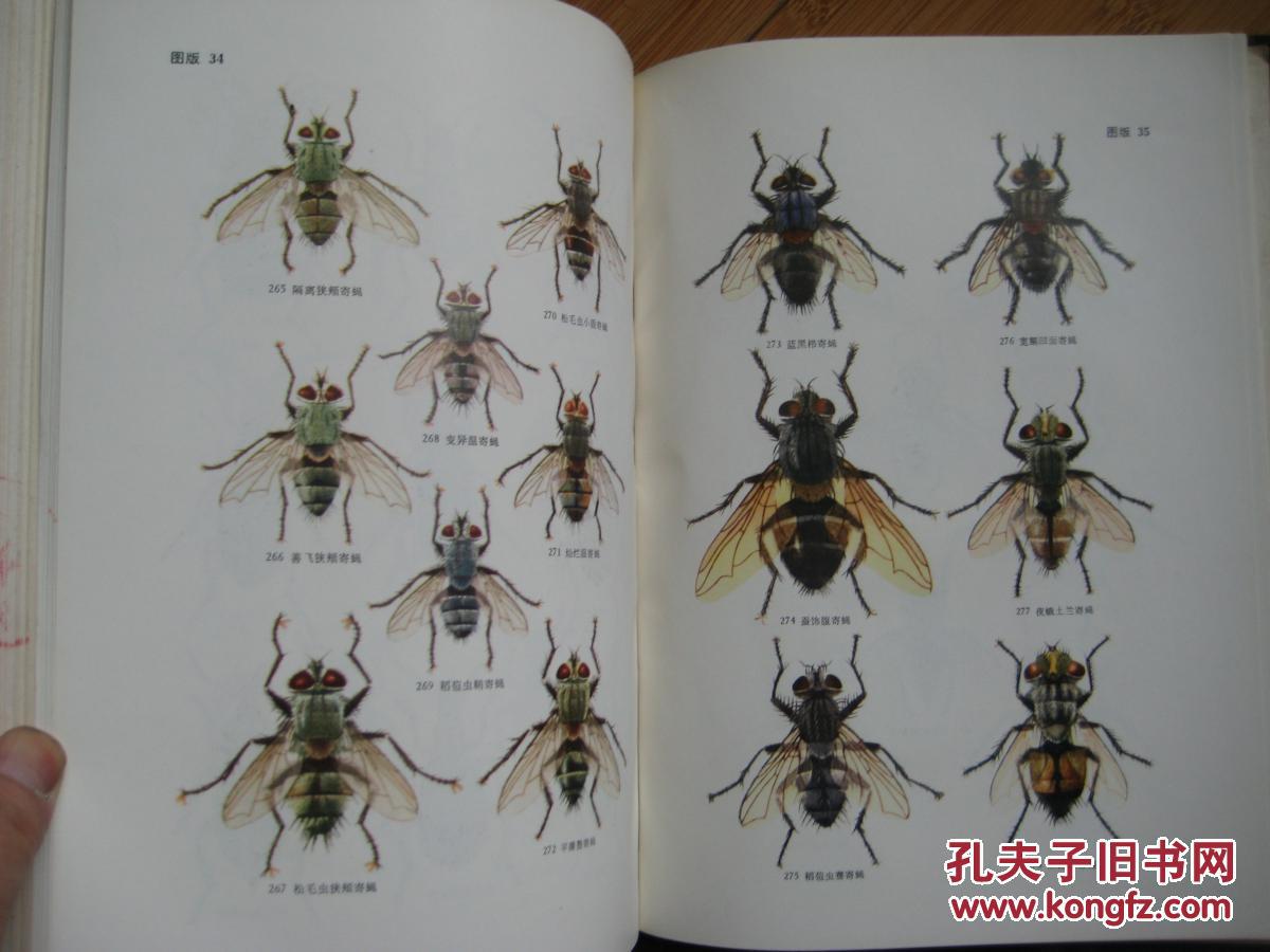 天敌昆虫图册 16开精装本