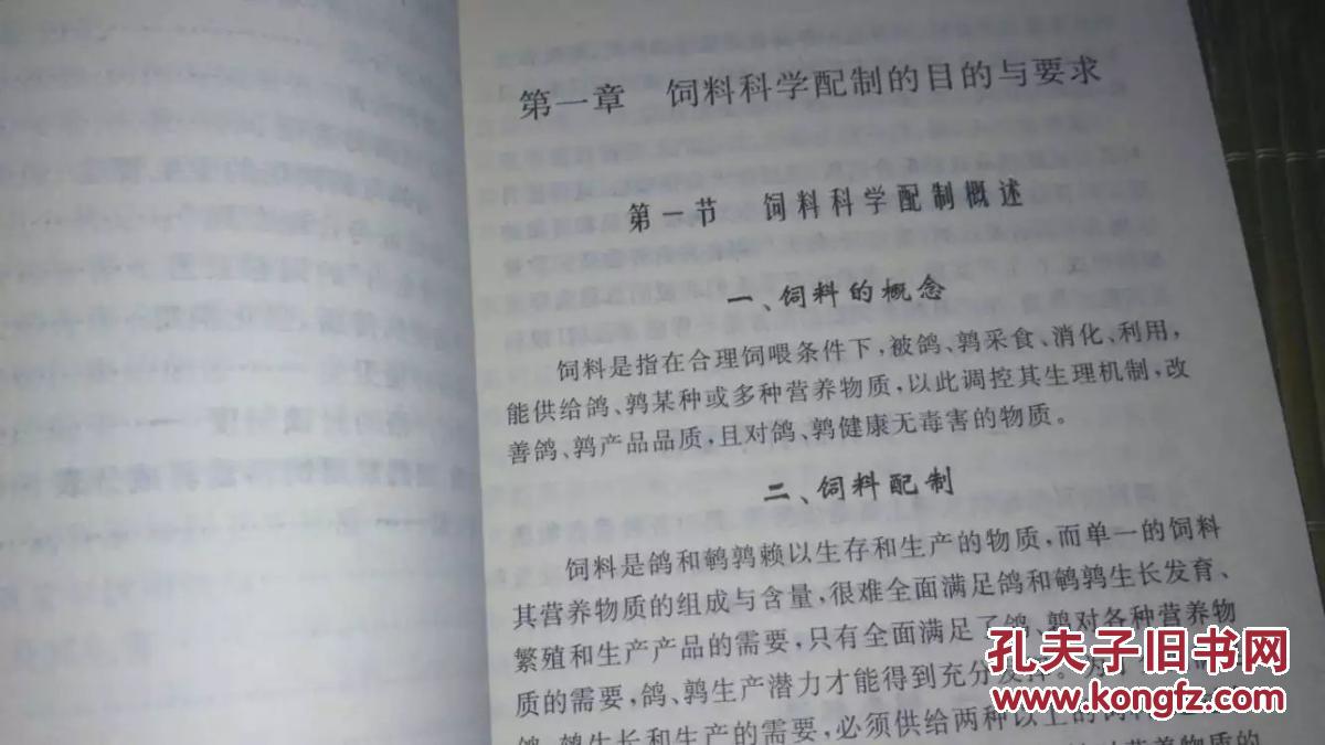 鹌鹑简谱_鹌鹑鸟图片(2)