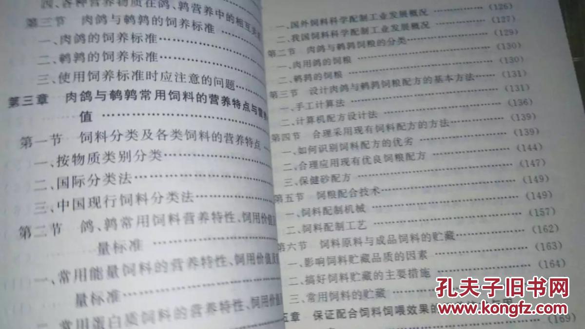 鹌鹑简谱_鹌鹑鸟图片