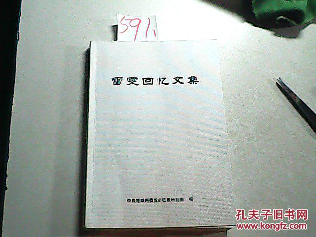 雷雯回忆文集