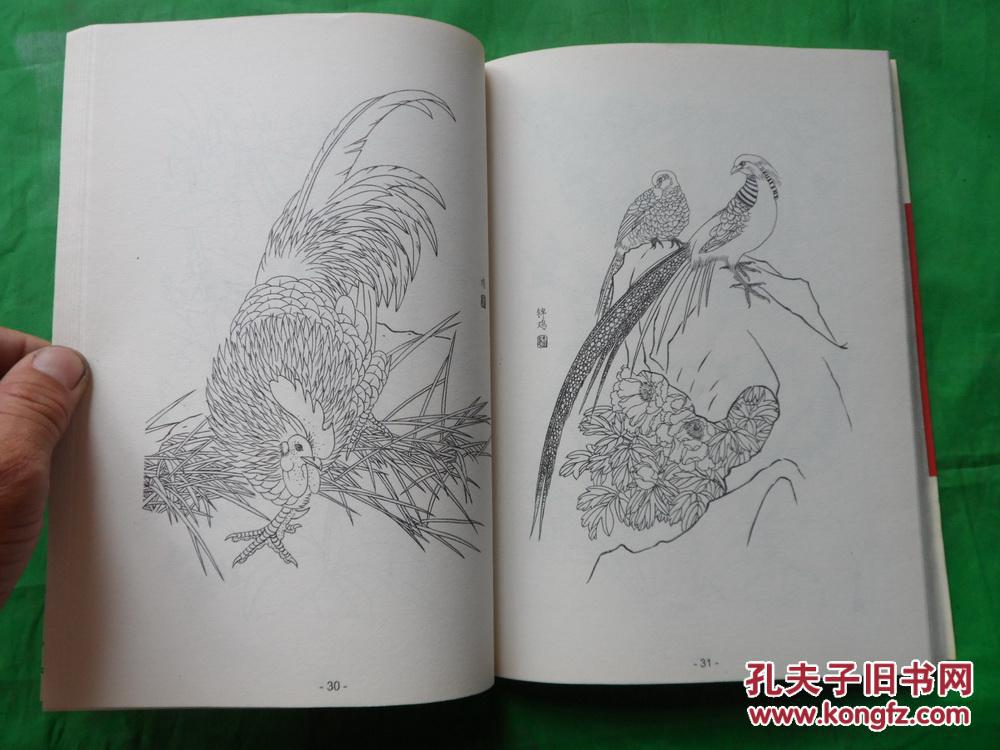 花鸟鱼虫白描速成画谱