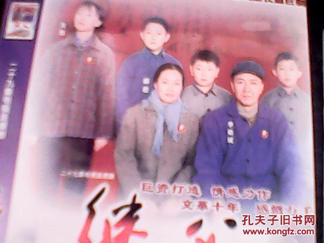 二十九集电视剧---继父【dvd】2碟全_导演 陈家林_孔