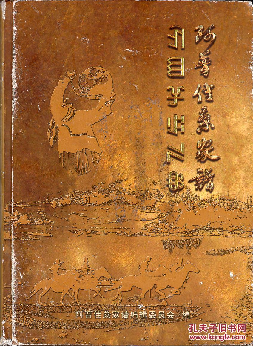 精装本阿普佳桑家谱杨氏彝族家谱少数民族家谱彝文汉文对照精装封面