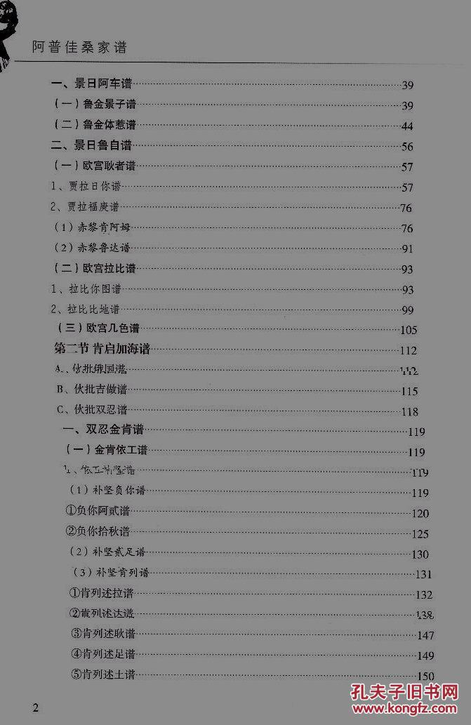 精装本:《阿普佳桑家谱》(杨氏彝族家谱) 少数民族家谱 彝文汉文对照