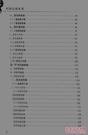 精装本阿普佳桑家谱杨氏彝族家谱少数民族家谱彝文汉文对照精装封面