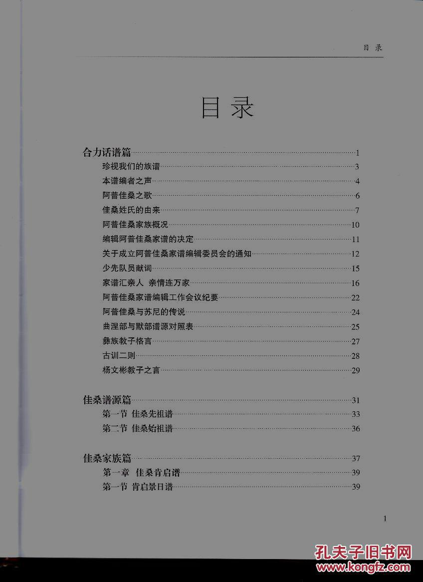 精装本阿普佳桑家谱杨氏彝族家谱少数民族家谱彝文汉文对照精装封面