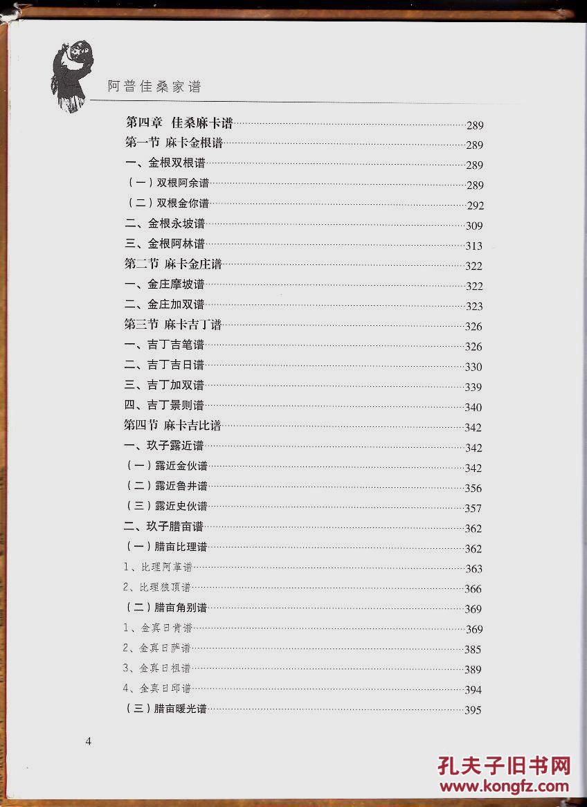 精装本阿普佳桑家谱杨氏彝族家谱少数民族家谱彝文汉文对照精装封面