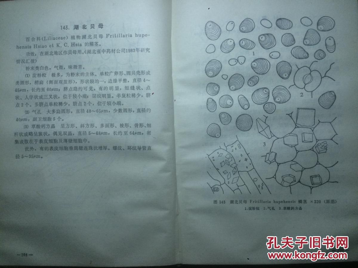中药材粉末显微鉴定