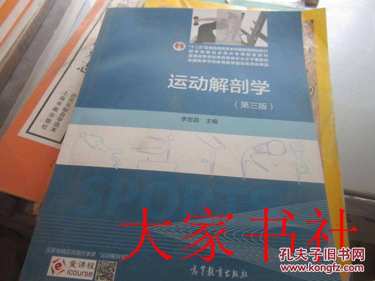 运动解剖学