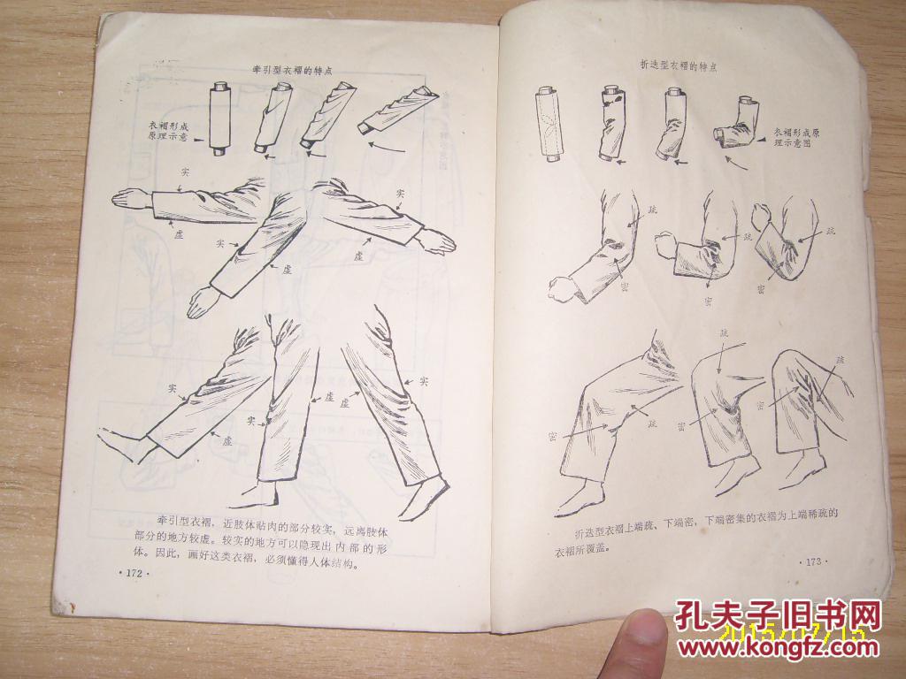 艺用人体结构