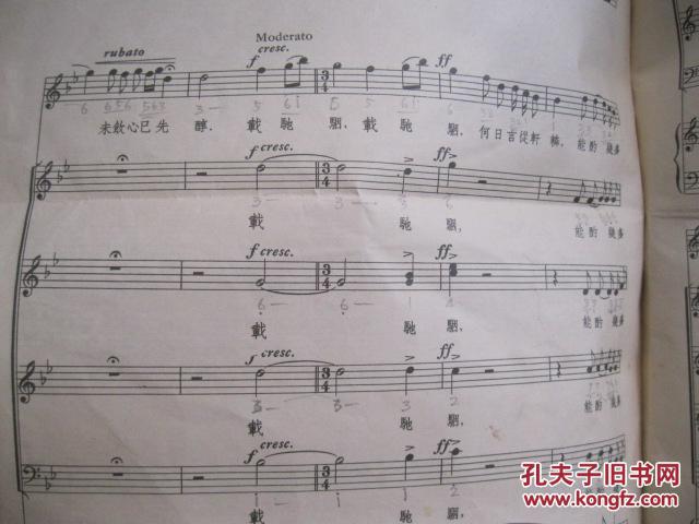 抢棺材一折曲谱_棺材纹身(3)