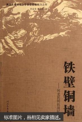 铁壁 铜墙:河北民间抗战纪实