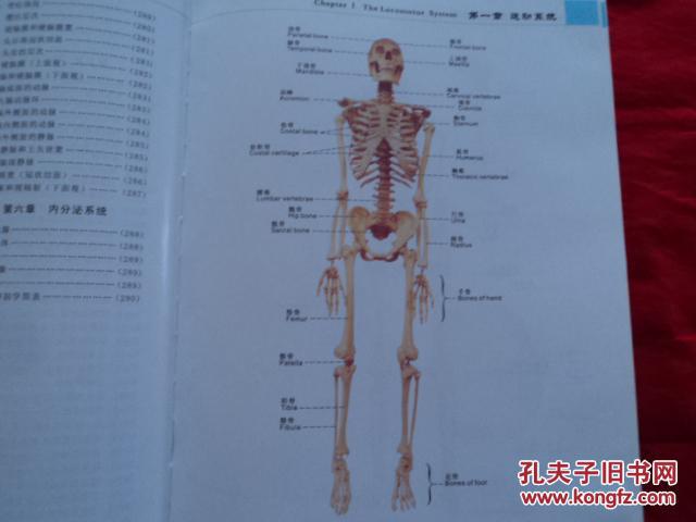 全彩人体解剖学图谱(精装)