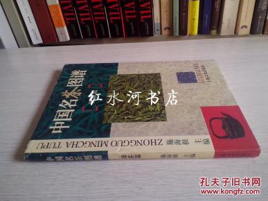 简谱绿茶_绿茶女动漫头像(3)