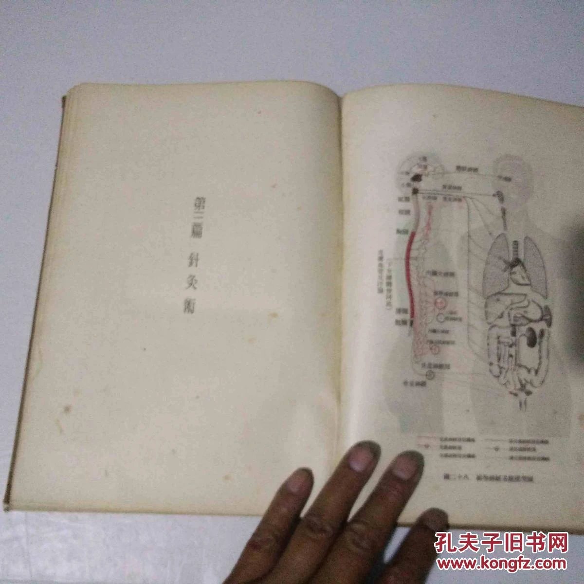附近的老中医针灸 poYBAFdpx1yAU-hKAAK2BrEh5A8157_b.jpg