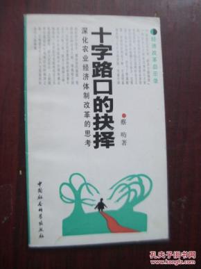 十字路口的抉择--深化农村经济体制改革的思考