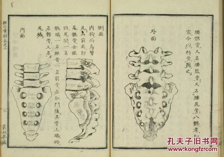 中医养生操有哪些种类 poYBAFdcFY6AdXZVAAHJkv4R1IA414_b.jpg