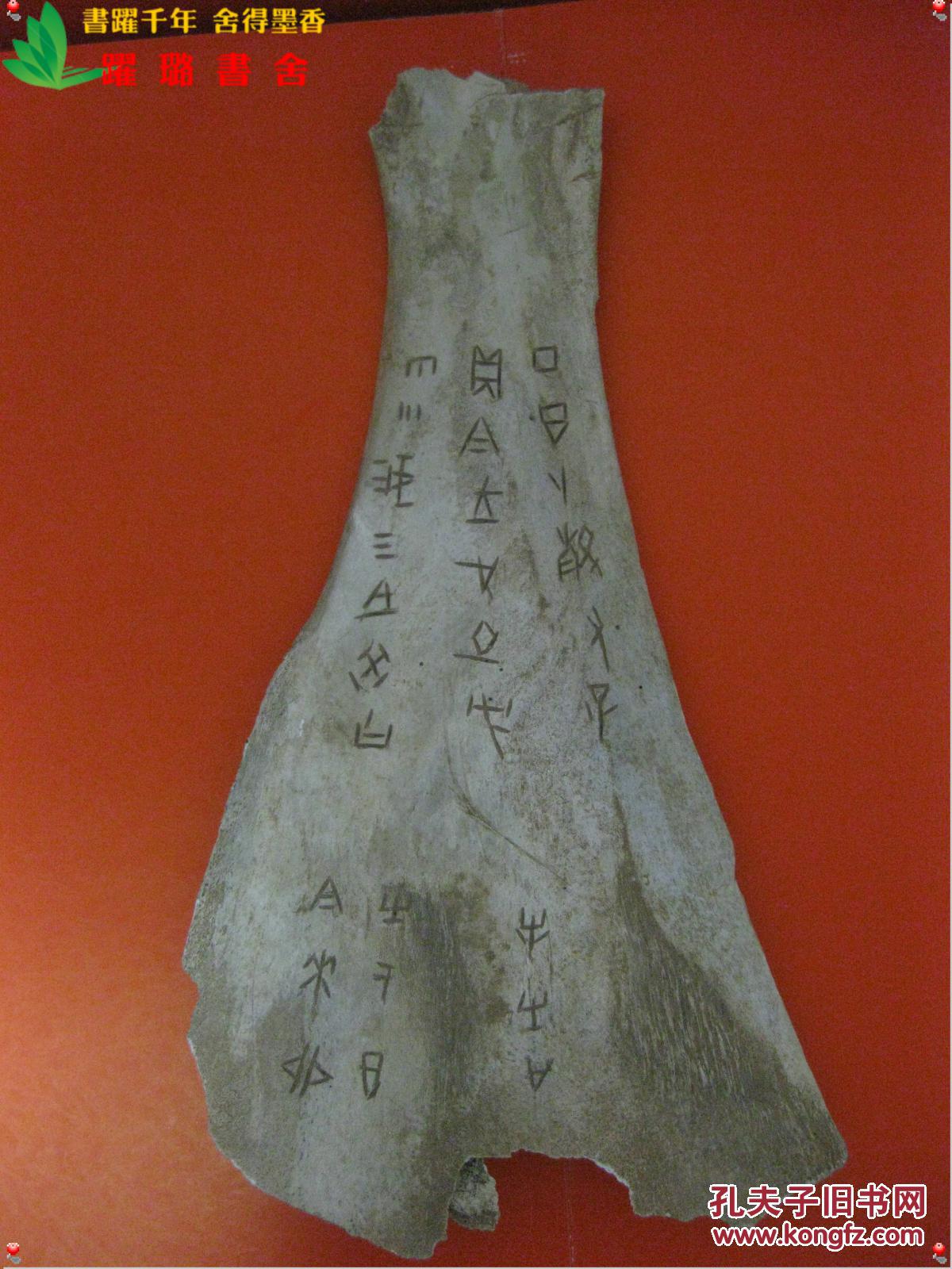 5厘米,重120克,沿扇面刻有甲骨文字28个,兽骨完整无缺失,无断裂,骨面