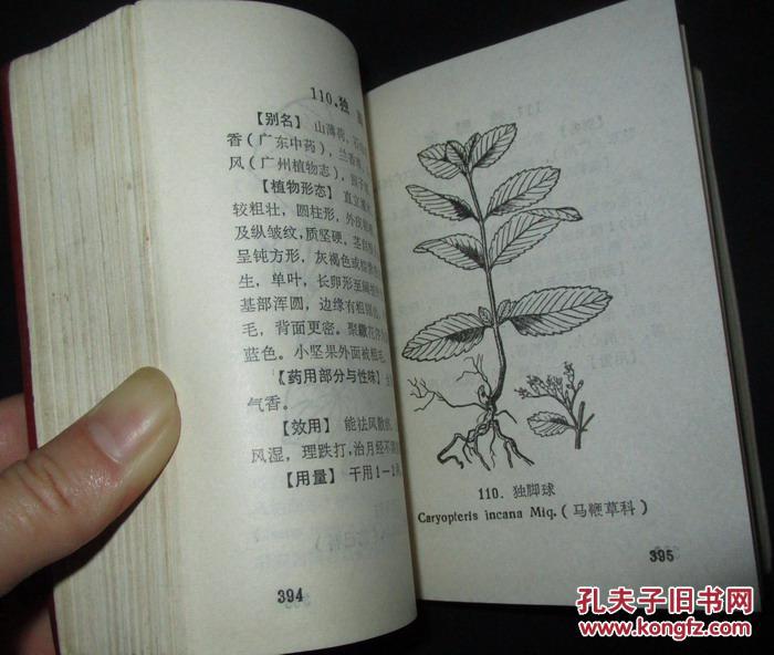 中草药识别手册