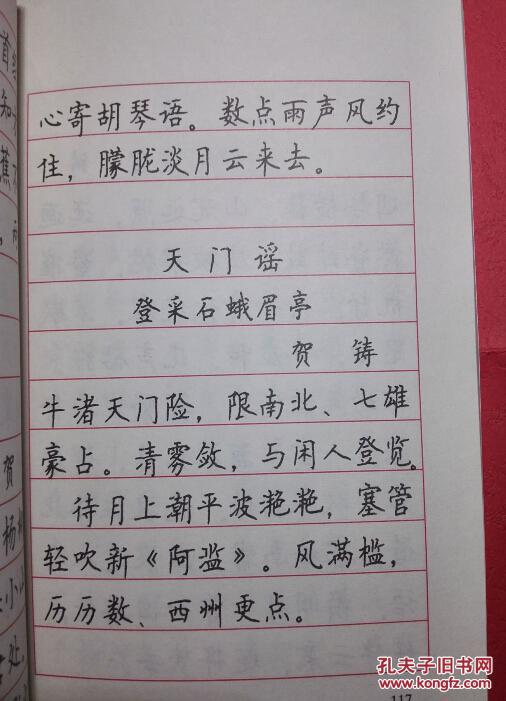 宋词三百首钢笔楷书帖(特等奖四连冠顾仲安少见字帖)