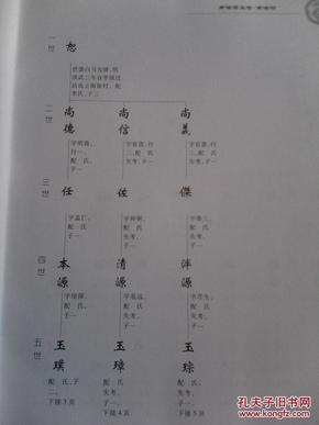 徐氏族谱 (沾化南徐 利津徐集世系联谱) 大16开 900页