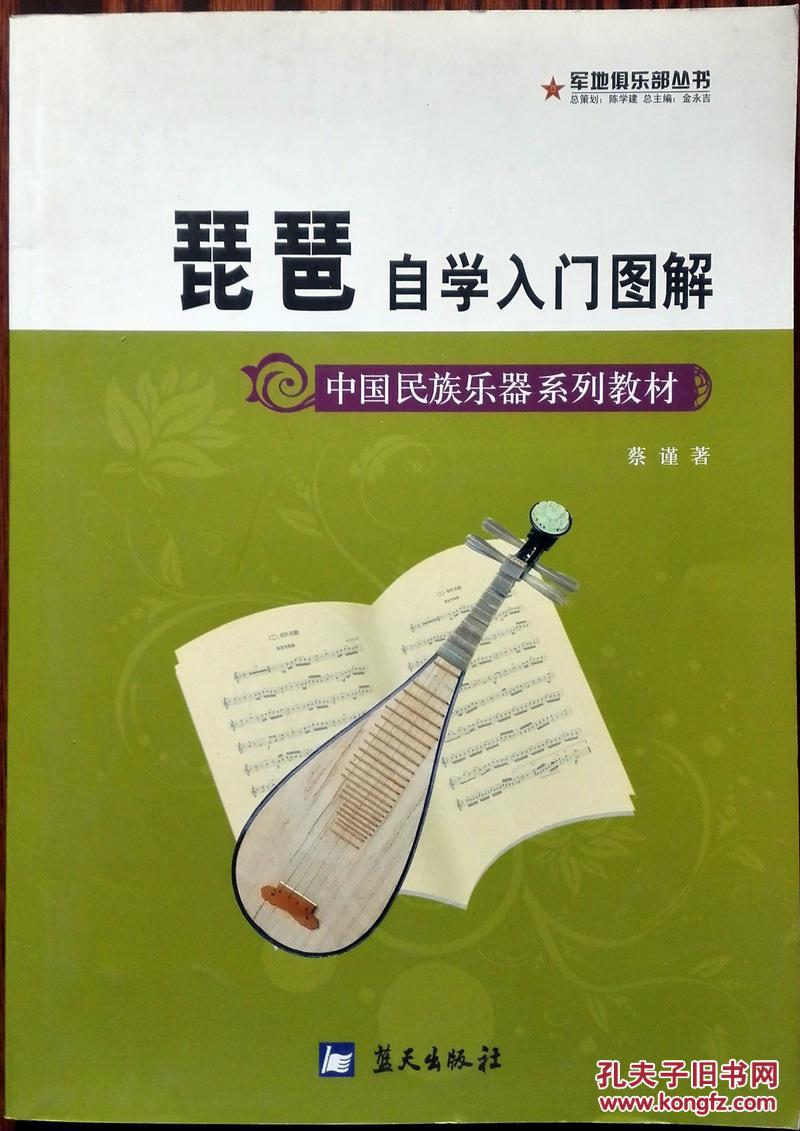 琵琶自学入门图解