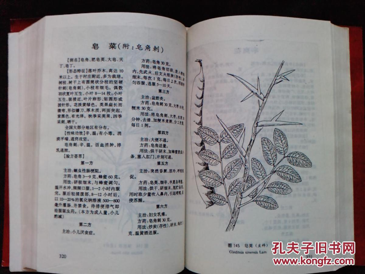古今民间百草良方