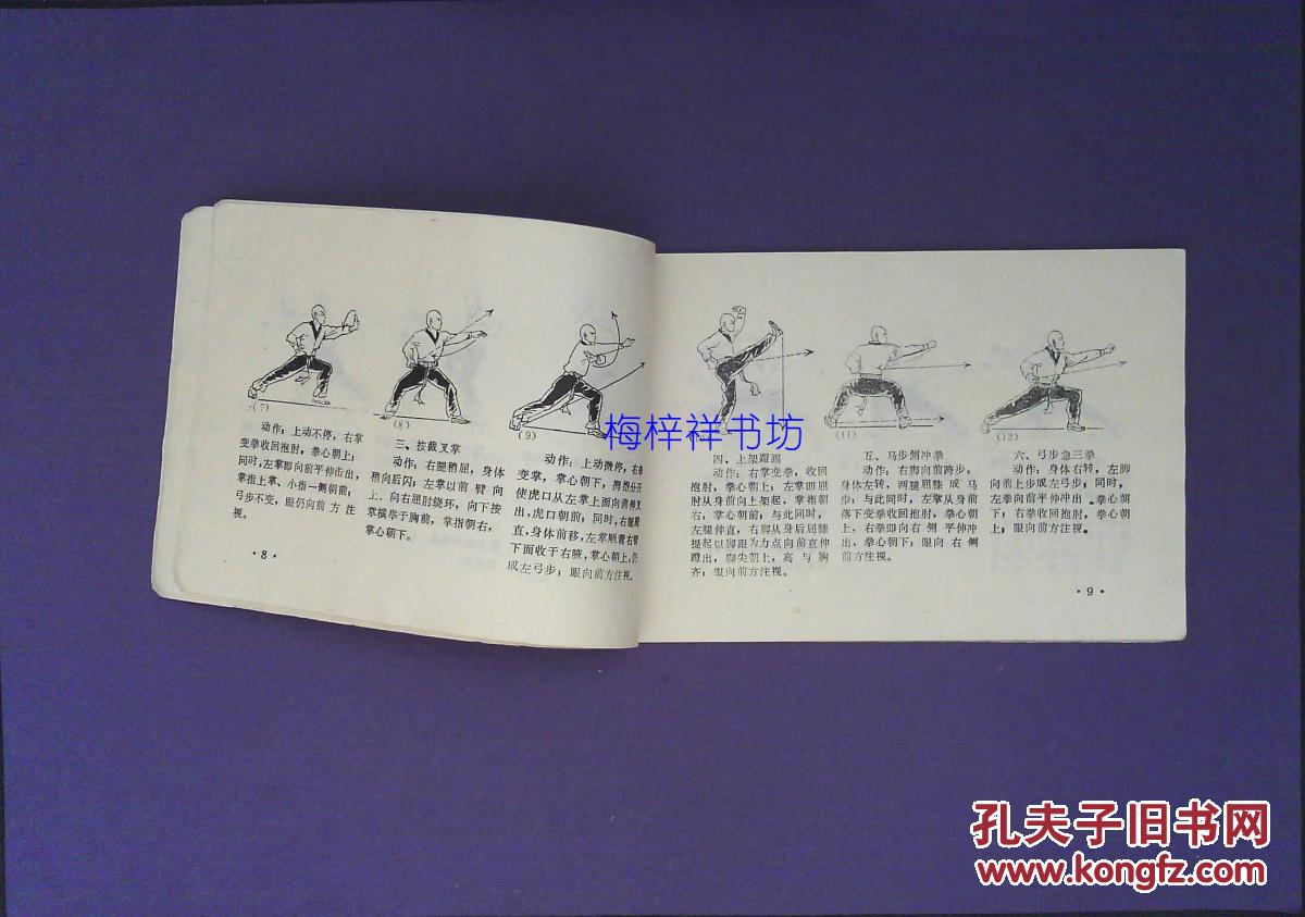 少林拳图解