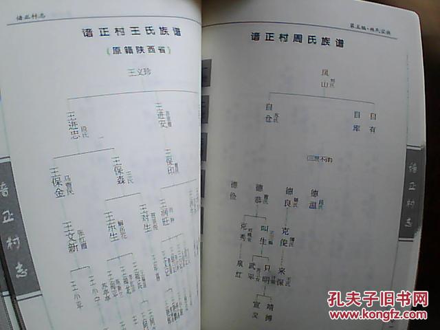《谙正村志》(附:贾氏,何氏,姚氏,王氏,周氏,关氏,任氏,常氏,张氏
