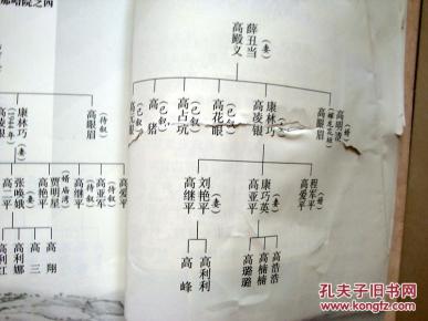 【谱牒】高氏家谱 山西柳林卜赖垣村