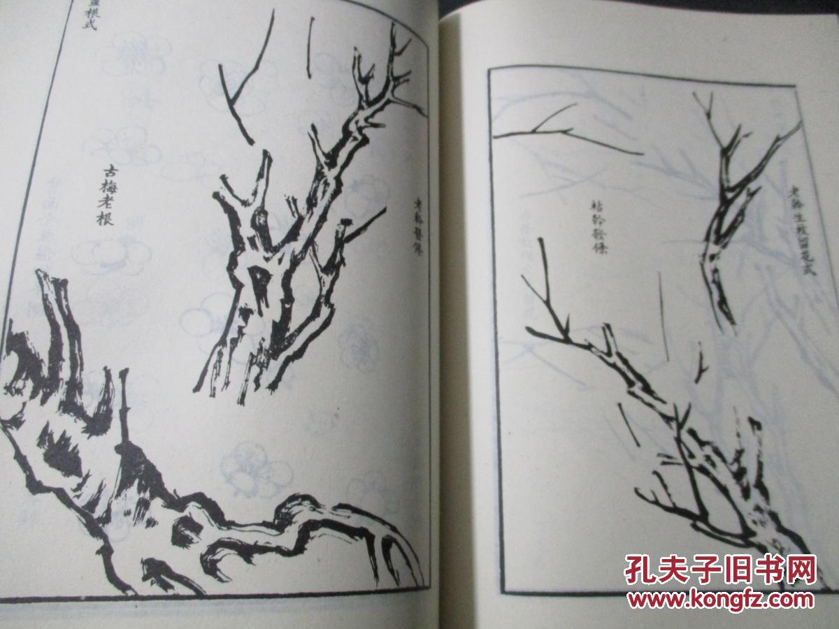 芥子园画谱 梅兰竹菊