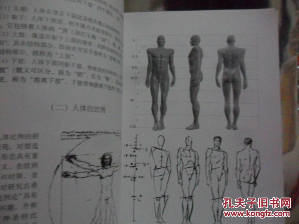 人体造型解剖学基础
