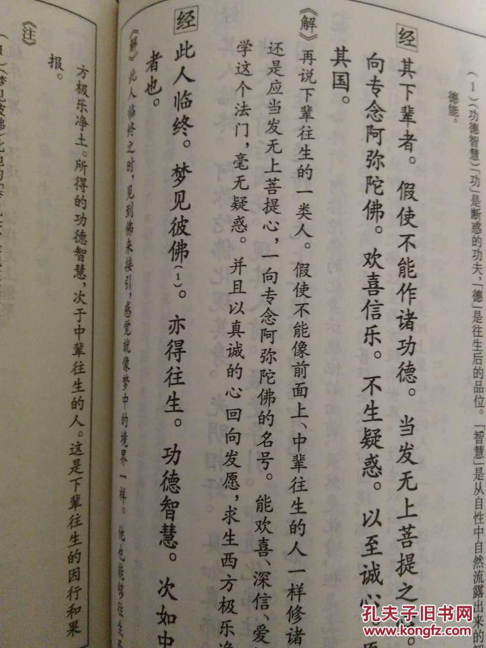 大乘无量寿经简注易解