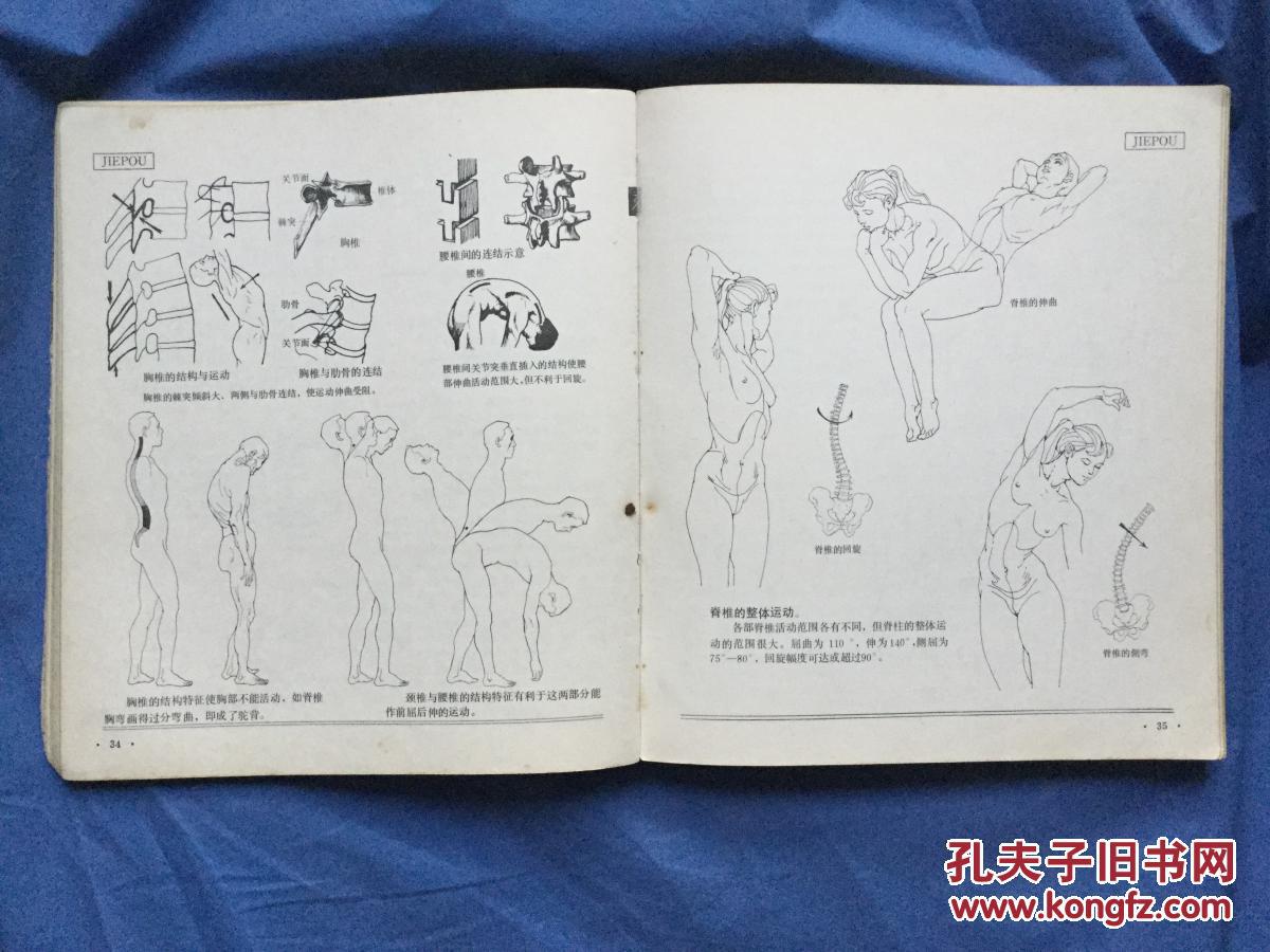 人体造型基础 —— 沈兆荣 编著