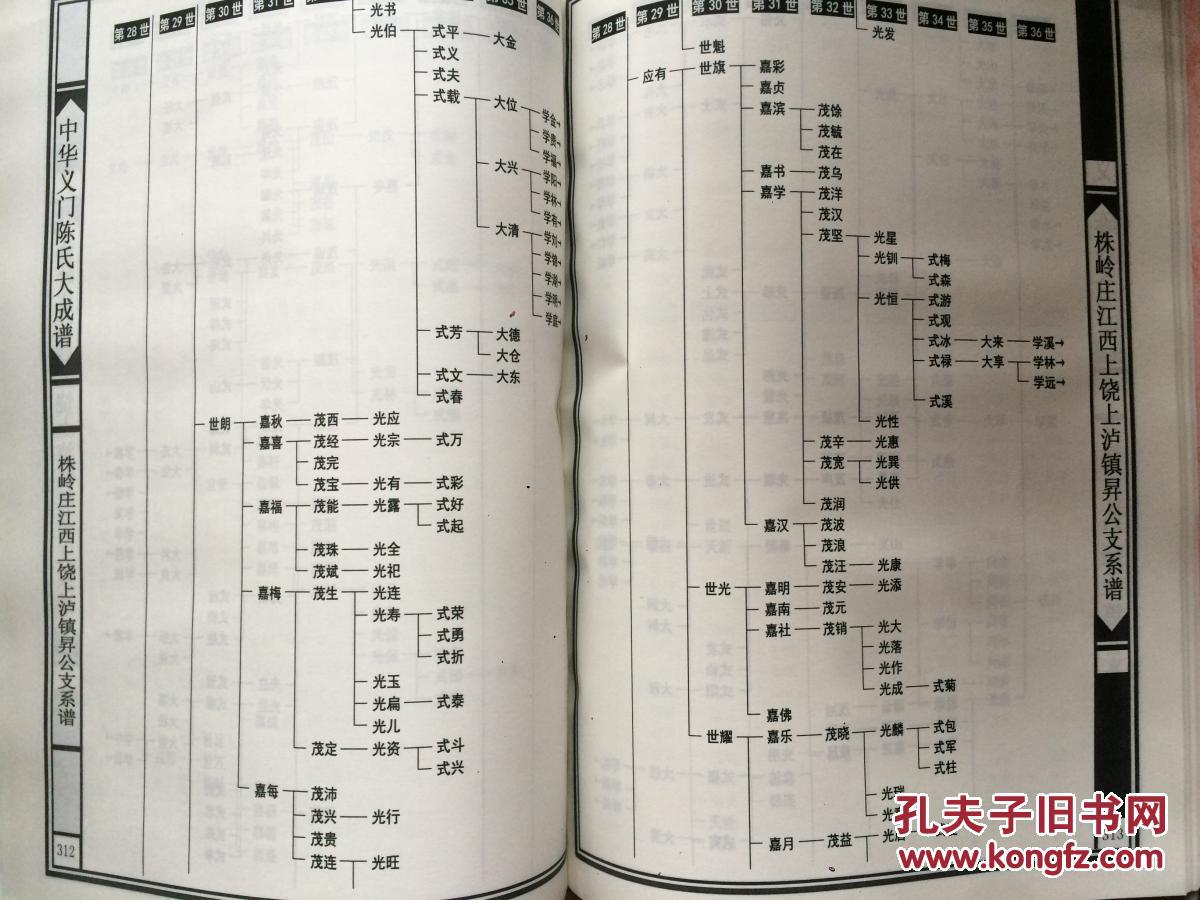 中华义门陈氏大成谱株岭庄江西上饶上沪镇升公支系谱