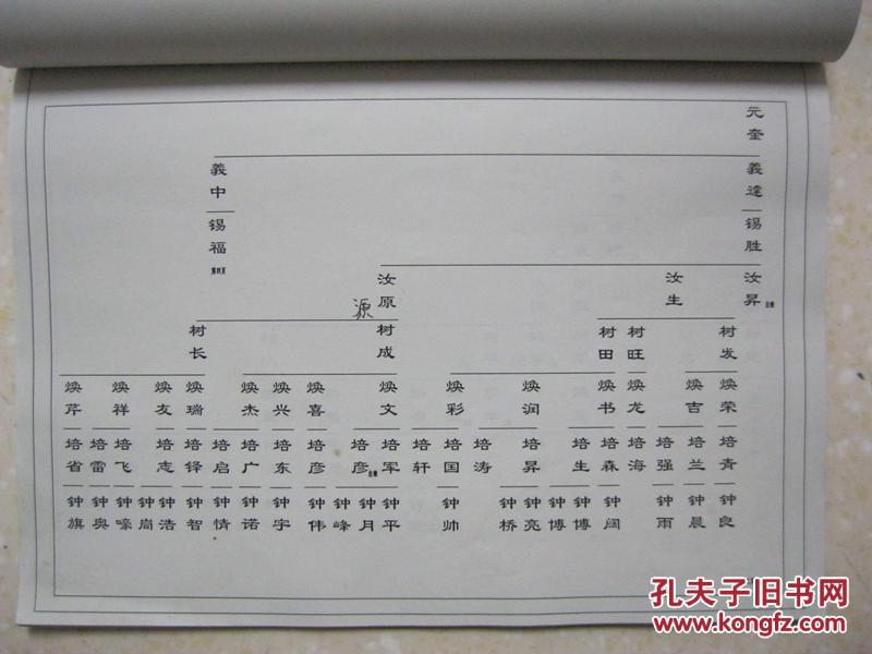 王氏族谱(南小庄王氏分谱.