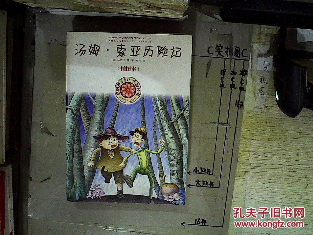 汤姆·索亚历险记(插图本)