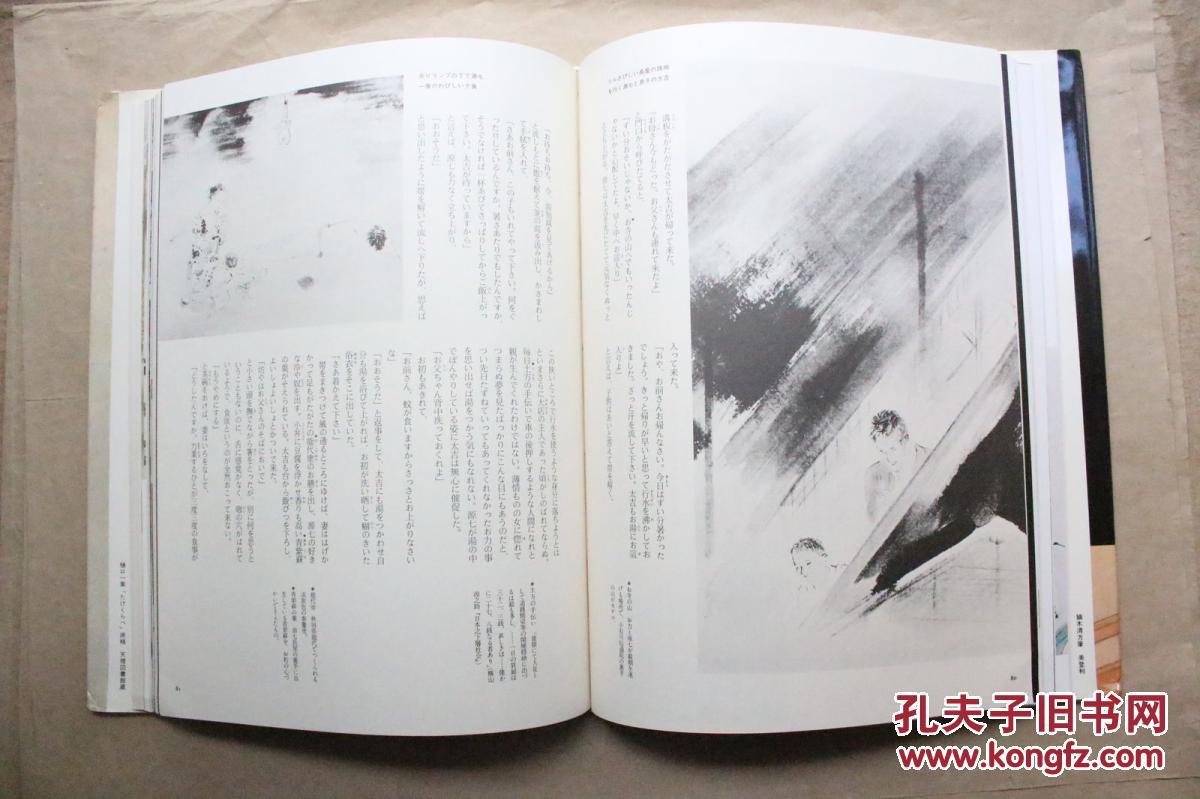日本原版 : 樋口一叶【1版2印 精装本,带函套】大量插图