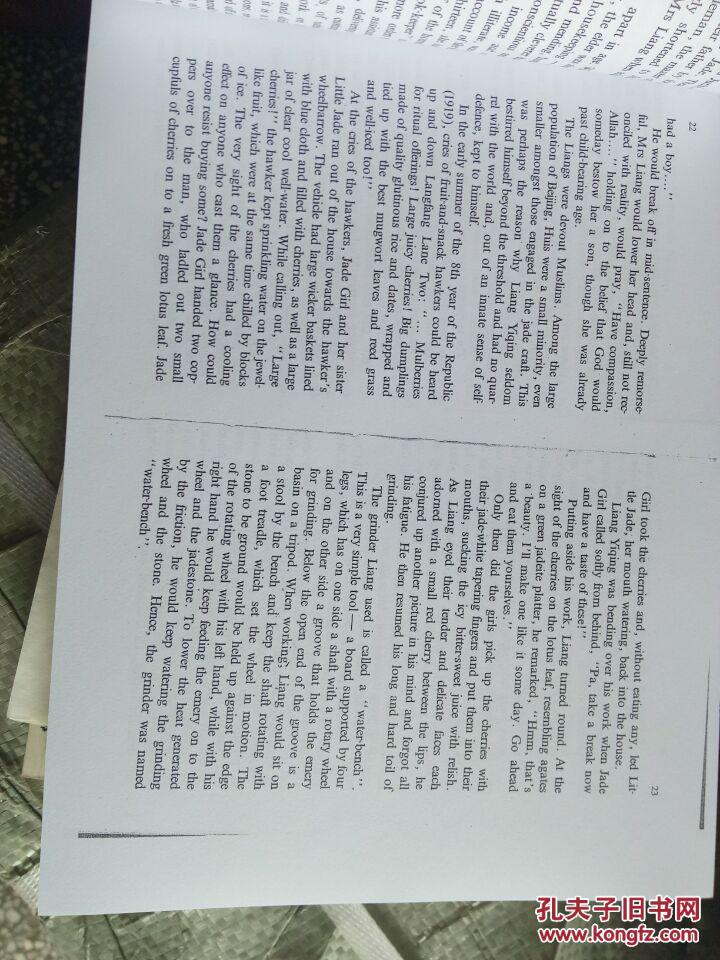 【图】The Jade King 穆斯林的葬礼 (英文版 熊