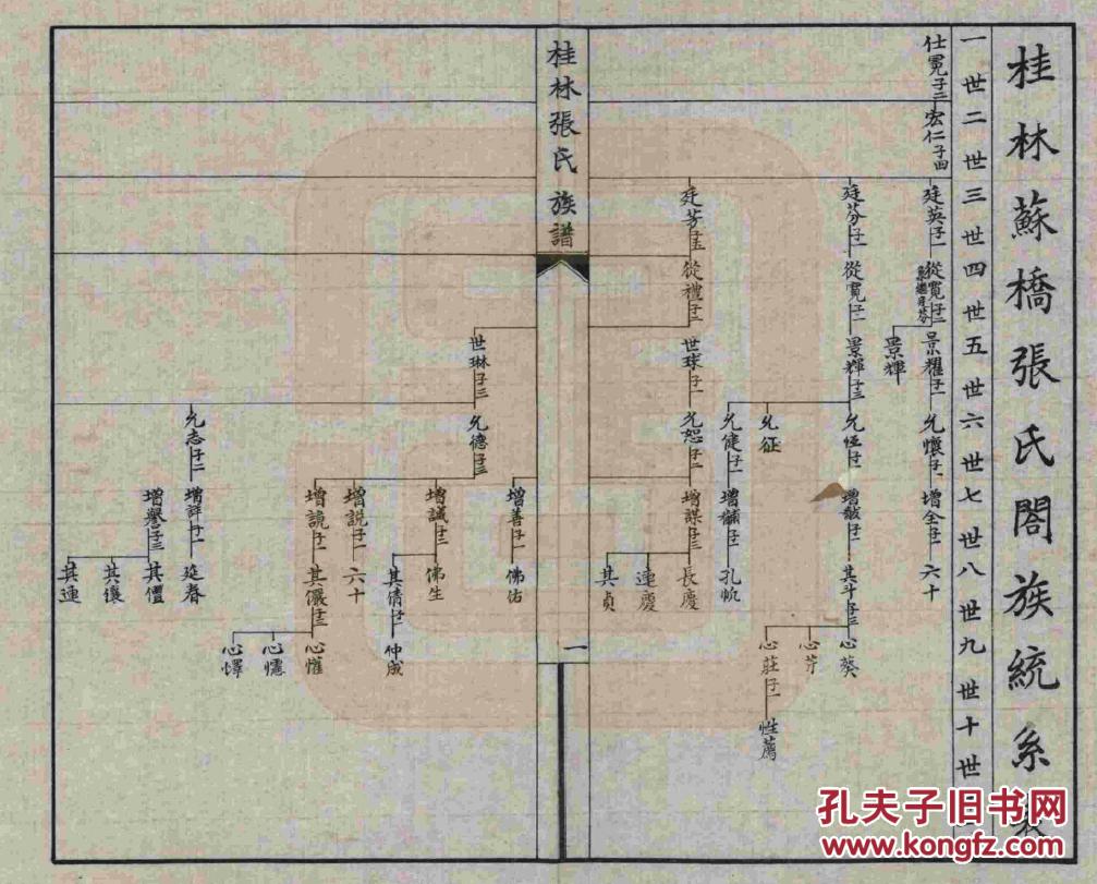 家谱----张氏族谱 【具体见品相描述】 广西桂林苏桥