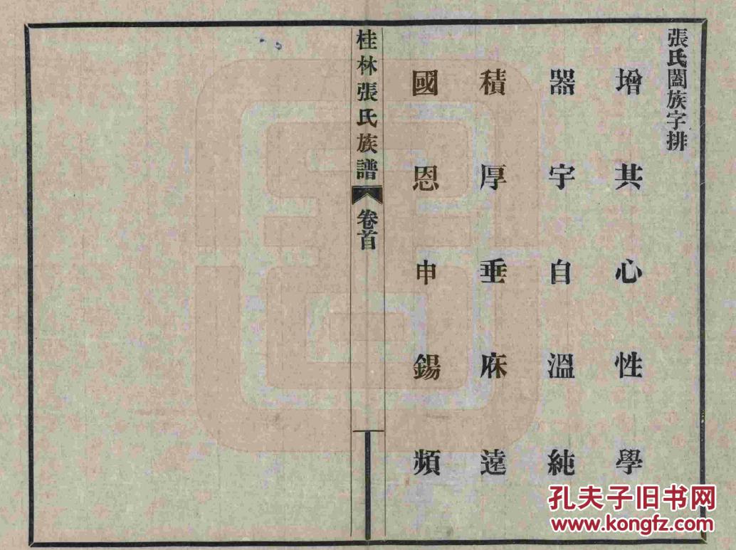 家谱----张氏族谱 【具体见品相描述】 广西桂林苏桥