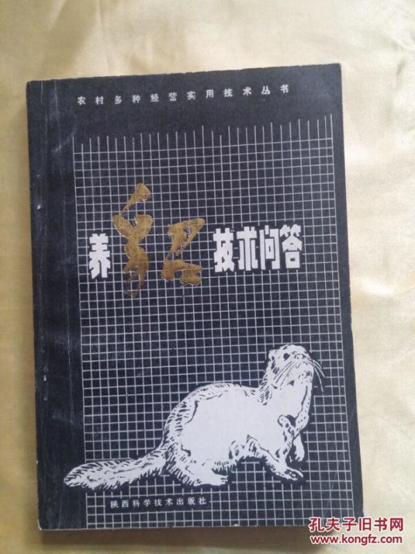 养貂想赚钱 这些窍门你得先搞懂（血泪经验版）-第1张图片-正海烽科技 - 领先的只能推广行业，智能制造解决方案提供商