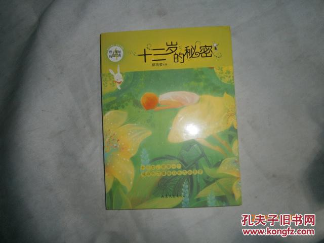 【图】十三岁的秘密 AB8312_山东文艺出版社